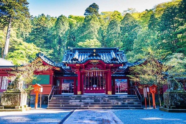 東京から富士山と箱根を巡る全日ツアー