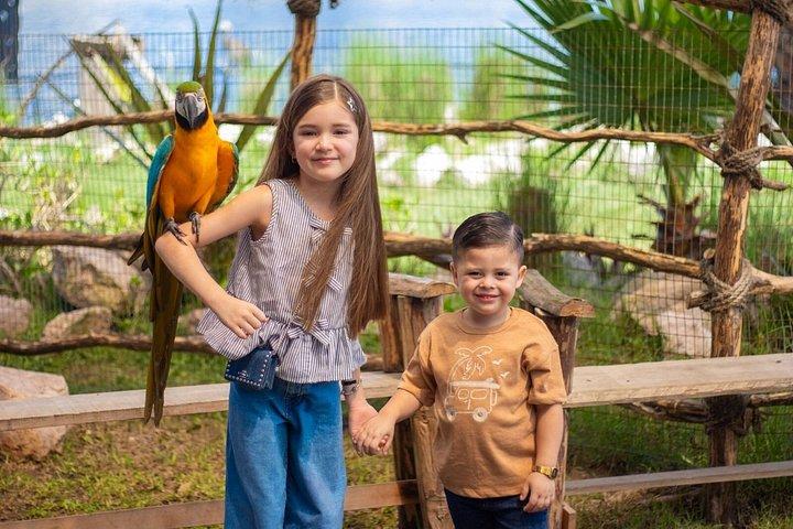 Billetter til Mazatlán Akvarium