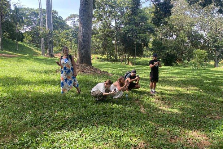 エンテベガイド付きウォーキングツアー（植物園＆ロレックステイスト）