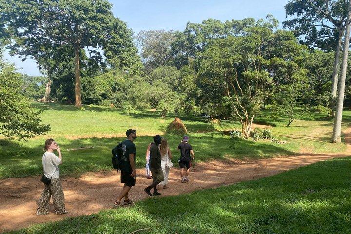 エンテベガイド付きウォーキングツアー（植物園＆ロレックステイスト）