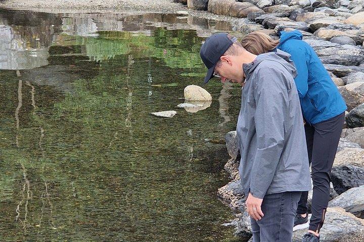 Stavanger Private Wanderung mit einem Einheimischen
