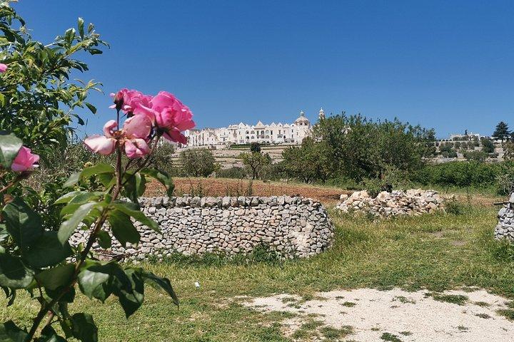 PUGLIA Private Tours&Transfers between different locations up to 8 guests