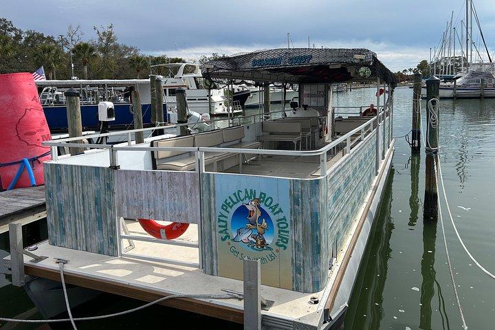 Delfintur i St. Pete Beach