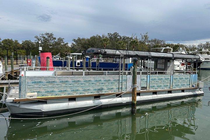 Delfintur i St. Pete Beach