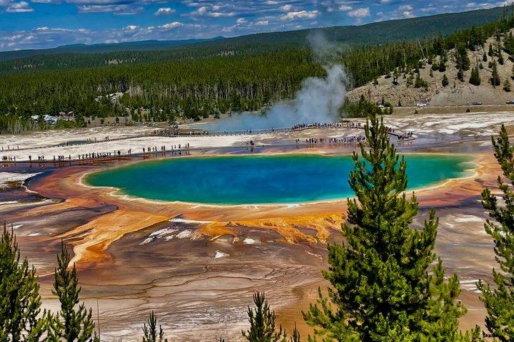 Yellowstone Hot Spots Lower Loop Tour vanuit Cody Wy!