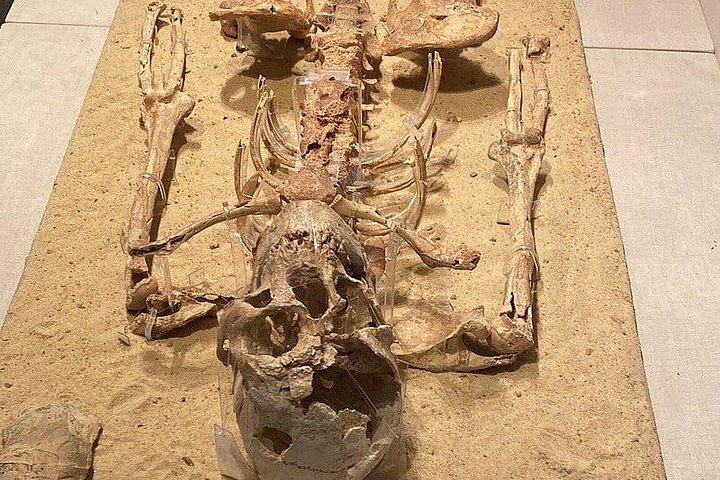 国立エジプト文明博物館シタデル・スルタン・モスク