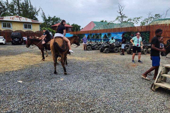 Roatan Horseback Riding