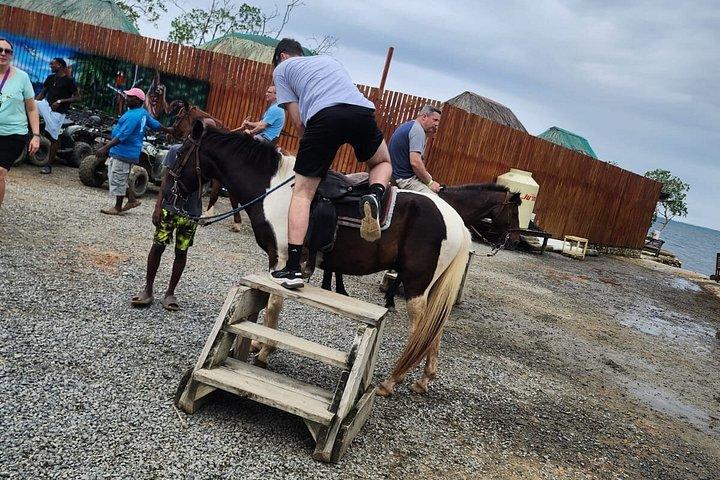 Roatan Horseback Riding