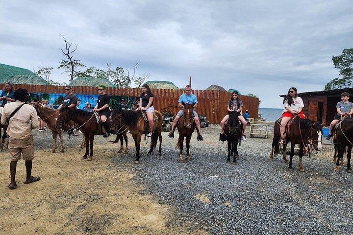 Roatan Horseback Riding