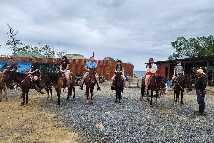 Roatan Horseback Riding