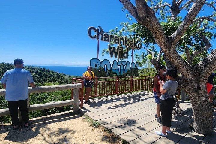 Roatan Horseback Riding