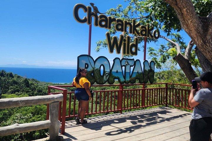 Roatan Horseback Riding