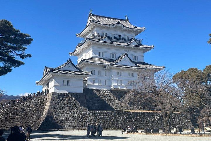 貸切温泉体験 箱根・熱海文化の旅3日