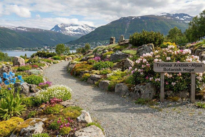 Entdecken Sie Tromsø : Eine Selbstführung