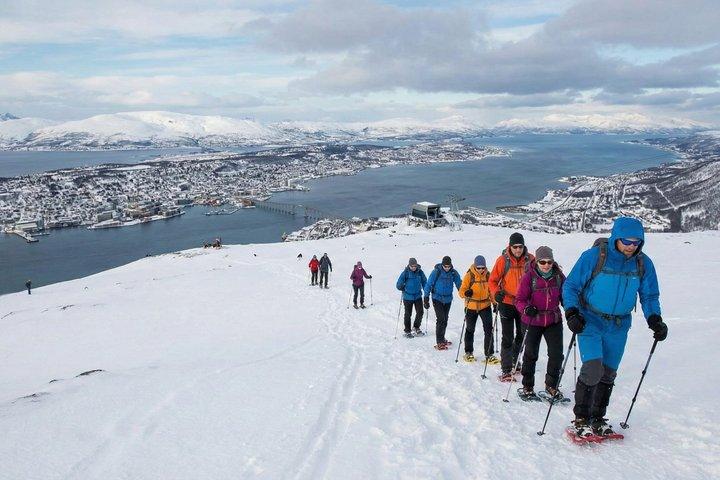 Discover Tromsø：セルフガイドツアー