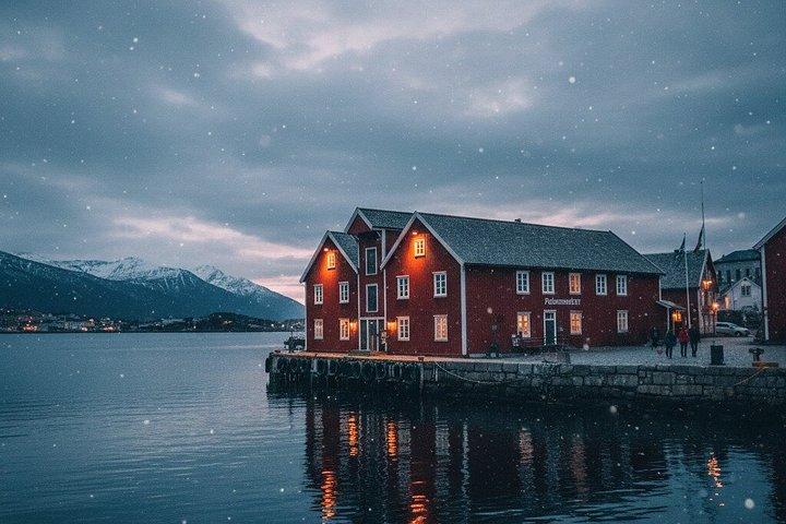 Discover Tromsø：セルフガイドツアー