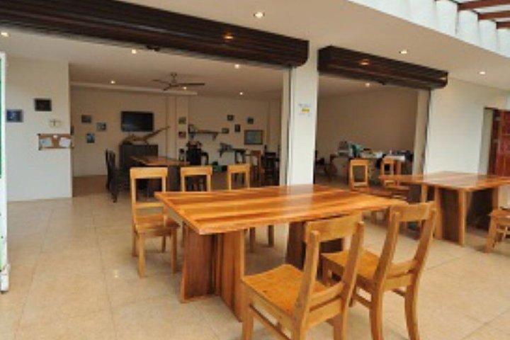 Buceo principiante en Moalboal | Safe & Easy Experience