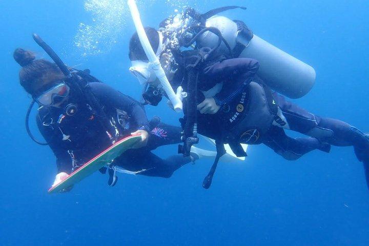 Buceo principiante en Moalboal | Safe & Easy Experience