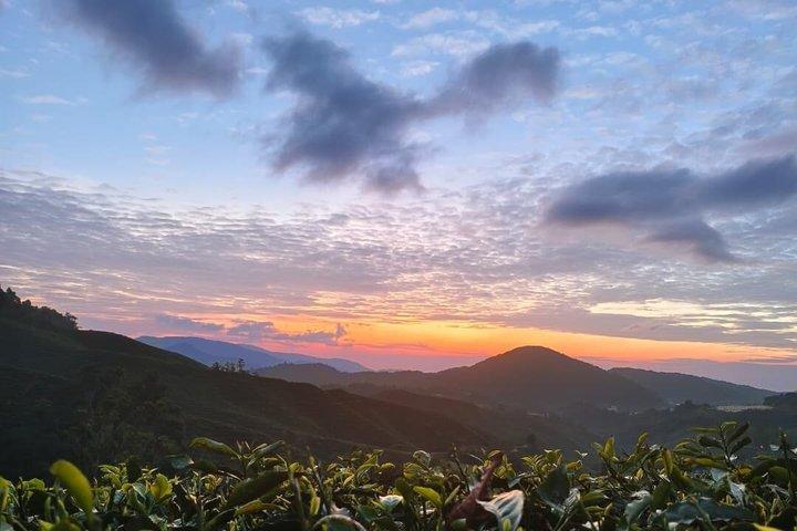 Cameron Sunrise Package Discovery Halbtägige gemeinsame Tour