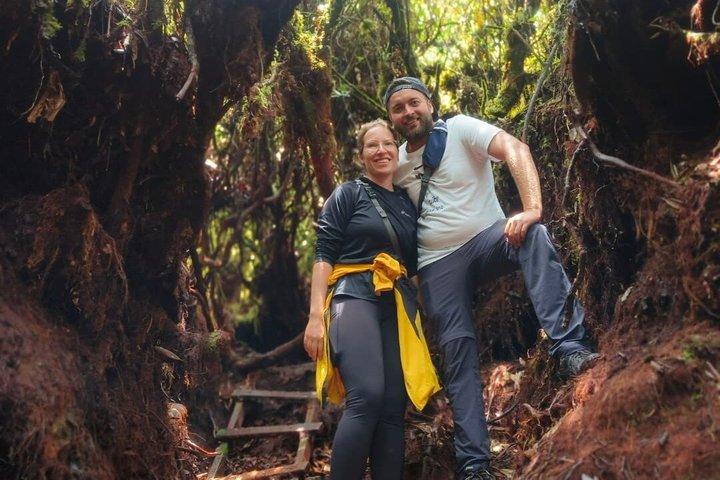 Mossy Forest Private Sunrise 4x4 Abenteuertour