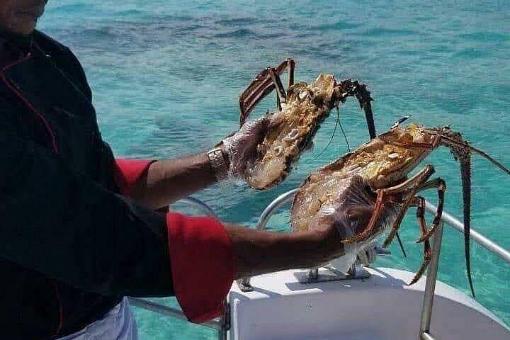 Deep Sea Fishing Puntacana