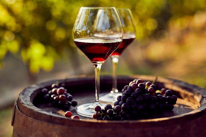 From Milan: Barolo Vineyards & UNESCO Wine Cellar Experience