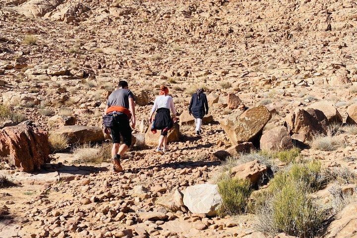 Excursion en Jeep combinée Jabel Umm Addamy Burdah Arch avec nuit