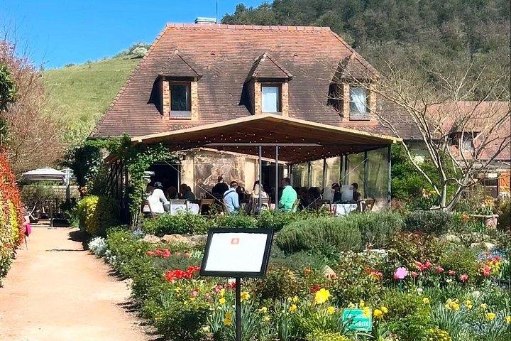 Giverny & Monet Gardens - Lille gruppe (2 - 6) med hotel afhentning