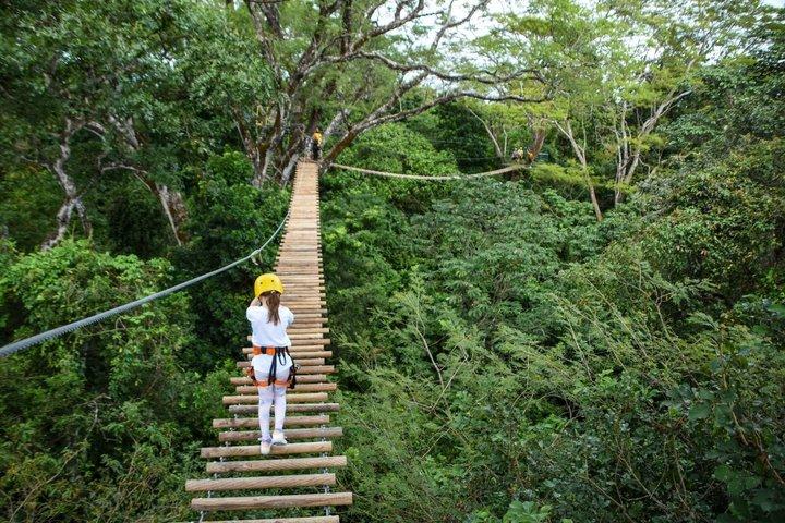 ZIPLINE di livello successivo a Guanacaste