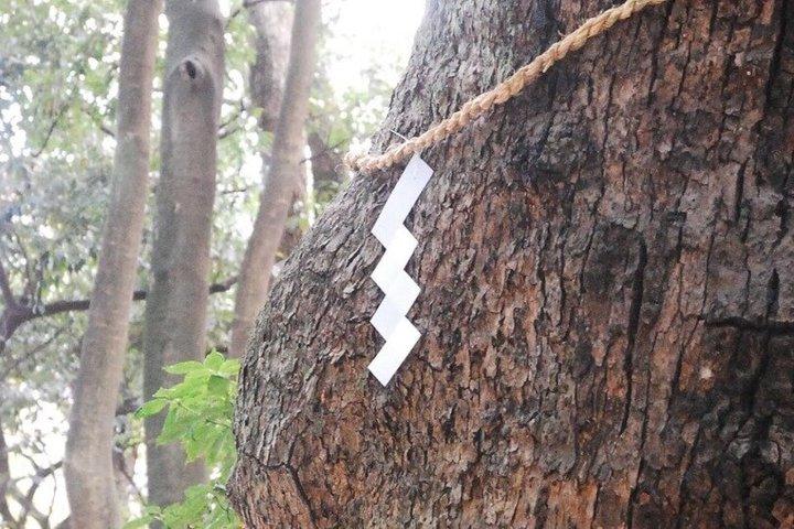 神戸食と文化散歩ハーバーフロント中華街と神社