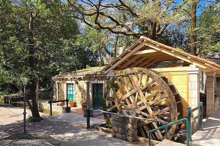 Dubrovnik, Cavtat & Konavle: 文化、眺め&ローカルランチ