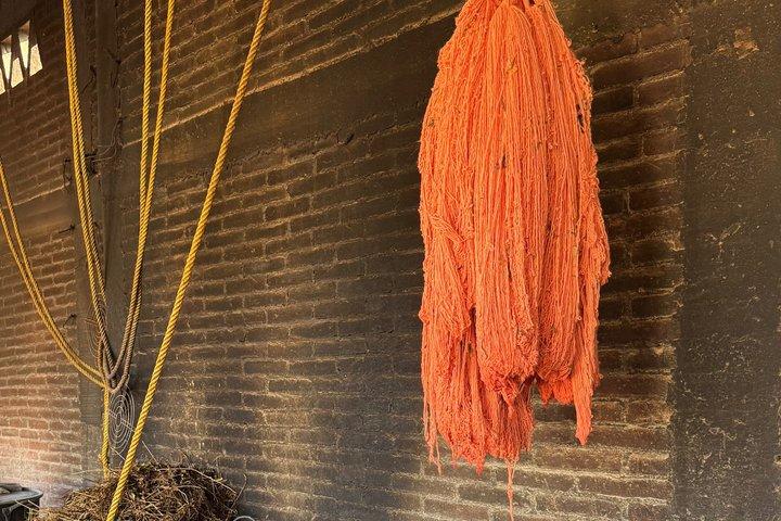 Private custom Oaxaca tour – Design your perfect day