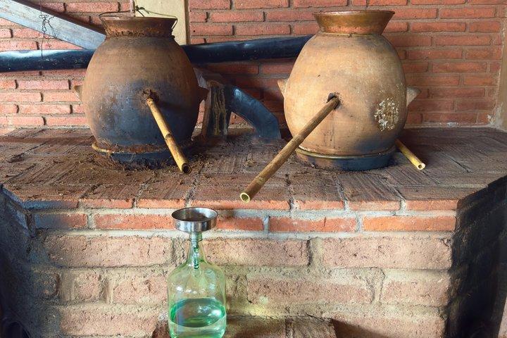 Private custom Oaxaca tour – Design your perfect day