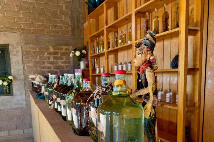 Private custom Oaxaca tour – Design your perfect day