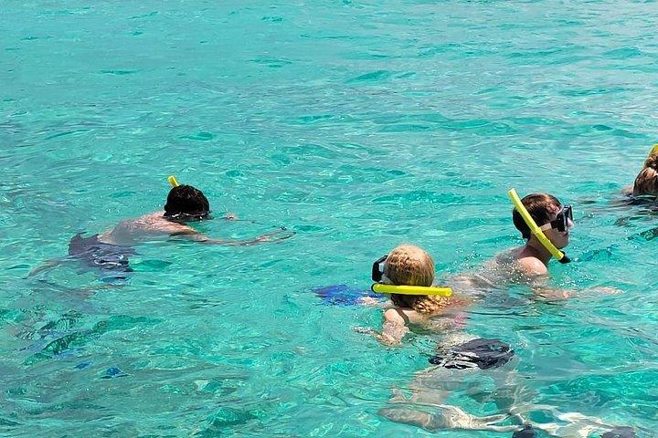 Ultimate Snorkeling by Boat & wildlife sanctuary