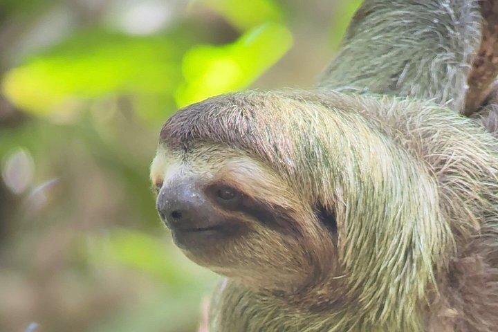 マヌエル・アントニオ国立公園ガイドツアー