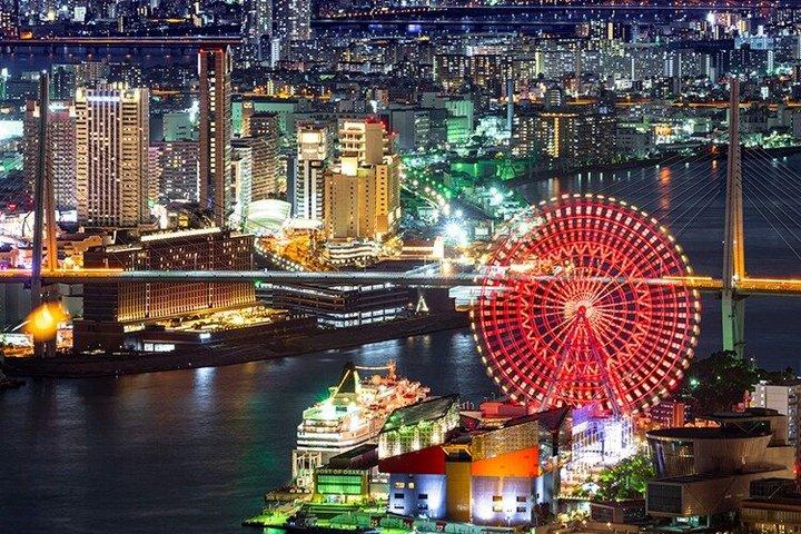 Visite de 5 heures avec véhicule privé à Osaka