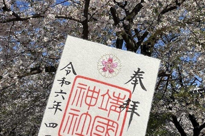 柴犬と神社散策で行く東京プライベート桜ツアー