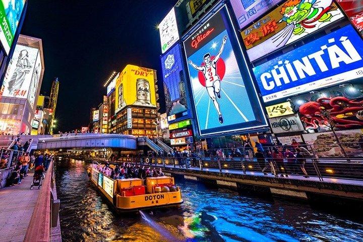 Tour de 5 horas con vehículo privado en Osaka