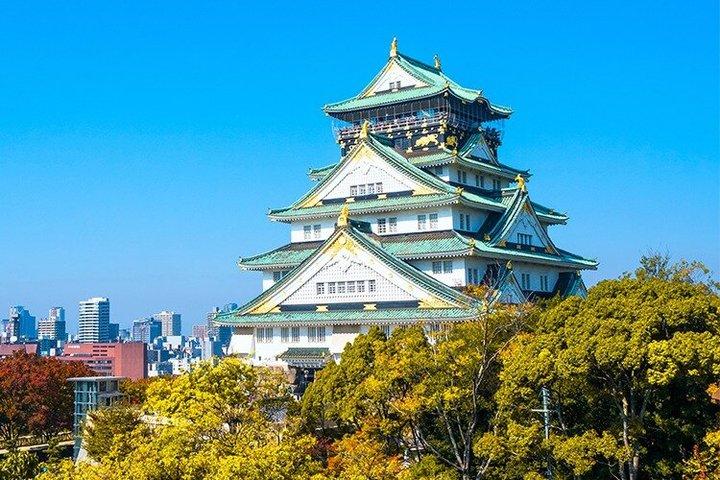 Visite de 5 heures avec véhicule privé à Osaka