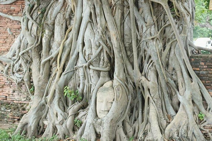 Recorrido de medio día por los templos y las ruinas del Palacio Real en Ayutthaya, Tailandia (incluye transporte, entradas y guía Japonés) con almuerzo en un popular restaurante tailandés.