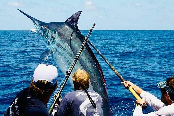 Punta Cana Pesca Professionista