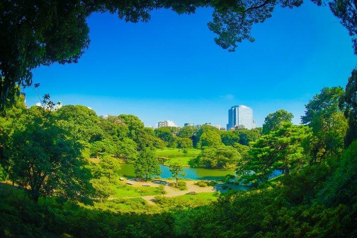 Tokyo : Edo-Period Rikugien Garden Walk med Matcha