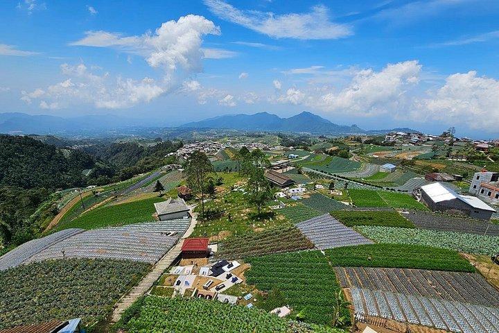 Nepal Van Java & Kedung Kayang Waterfall Tour from Yogyakarta