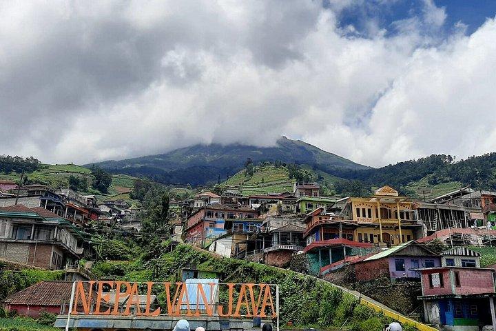 Nepal Van Java & Kedung Kayang Waterfall Tour from Yogyakarta