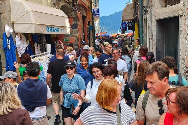 フィレンツェ発チンクエ・テッレとピサへのプライベート日帰り旅行