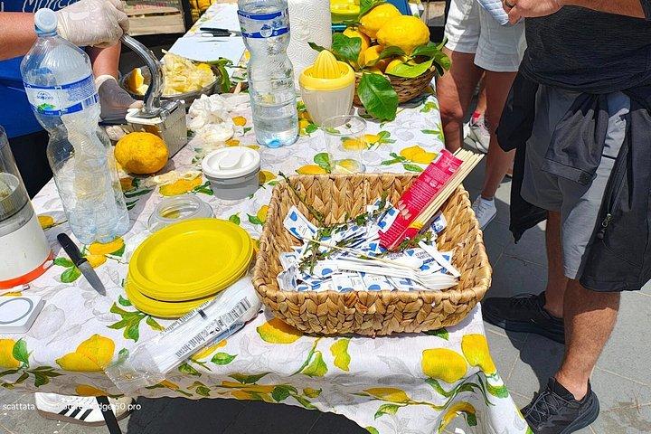 フィレンツェ発チンクエ・テッレとピサへのプライベート日帰り旅行