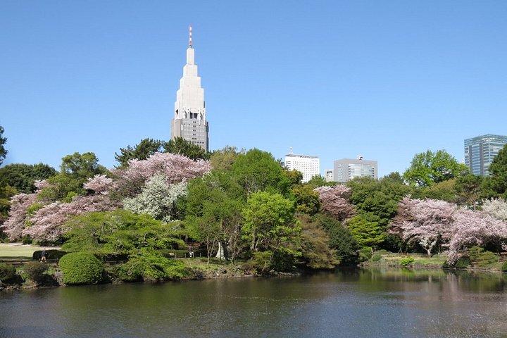 Tokyo Self-Guided Audio Tour