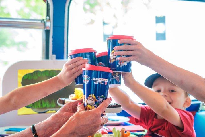 Paw Patrol London Shared Activity Adventure