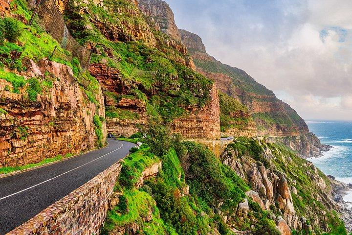 Private Shore Tour: Cape Point, Penguins & Atlantic Seaboard